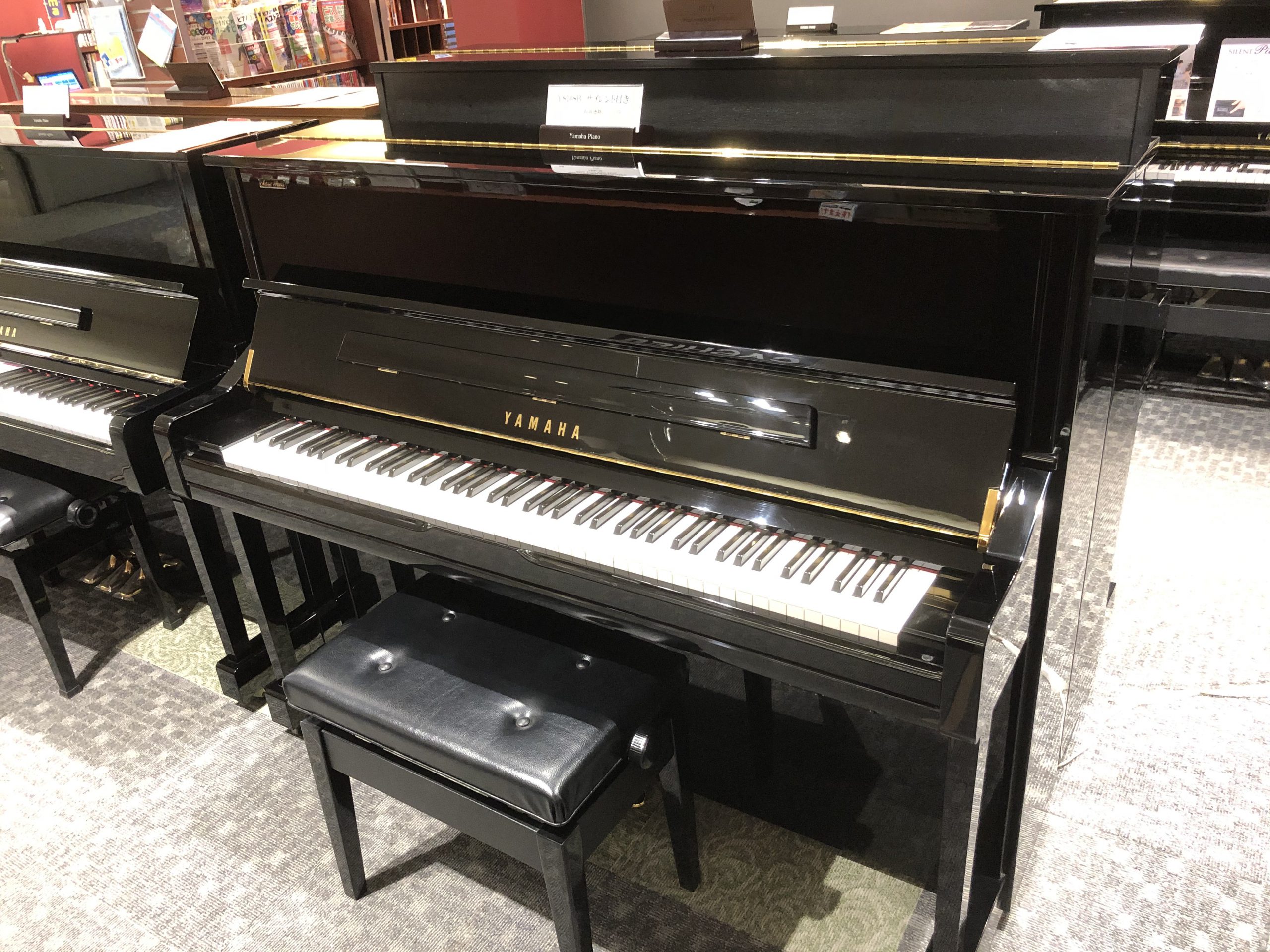 YS10SB （サイレント付）　￥599,000（税込）