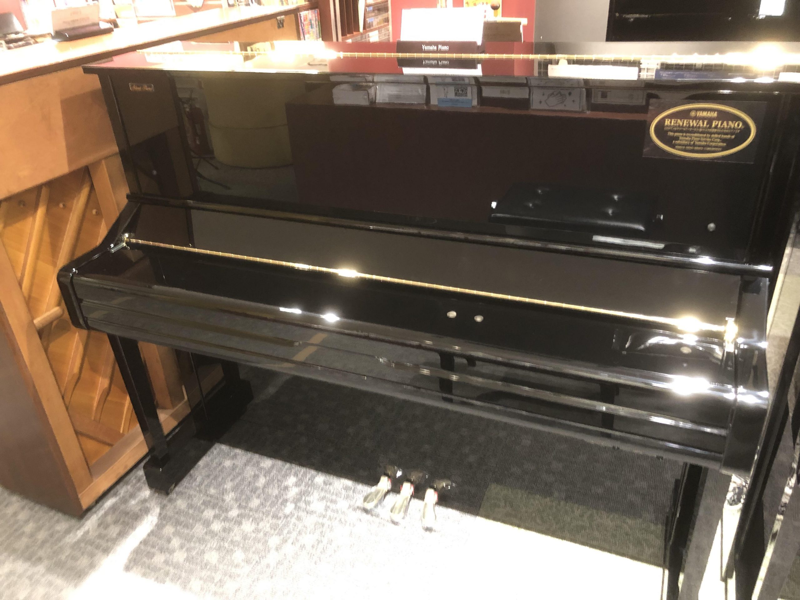 YS10SB (サイレント付) ¥638,000(税込)