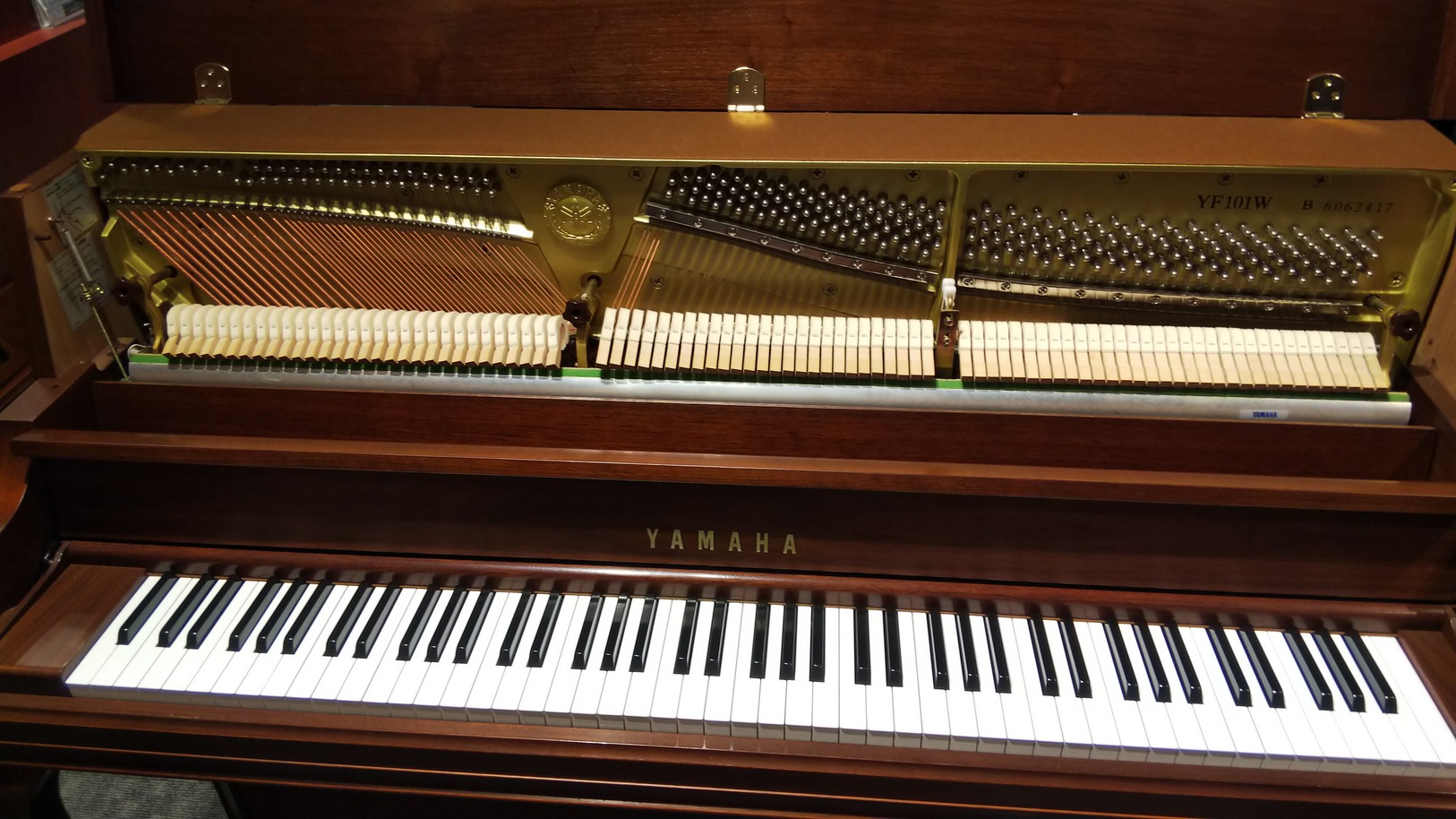 YF101W